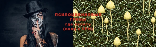 прущий лед Алексеевка